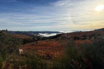 Portugal, Porto and Douro Valley